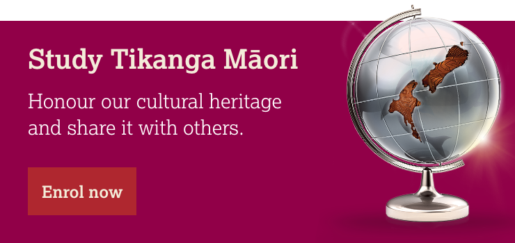 Study Māori and Indigenous Development
