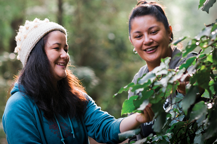 New Māori Medicine And Adult Teaching Courses In Kawerau | News And ...